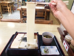 桜山｜麺の芸術！2代目店主が作る、珍しい幅広きしめんが美味い！