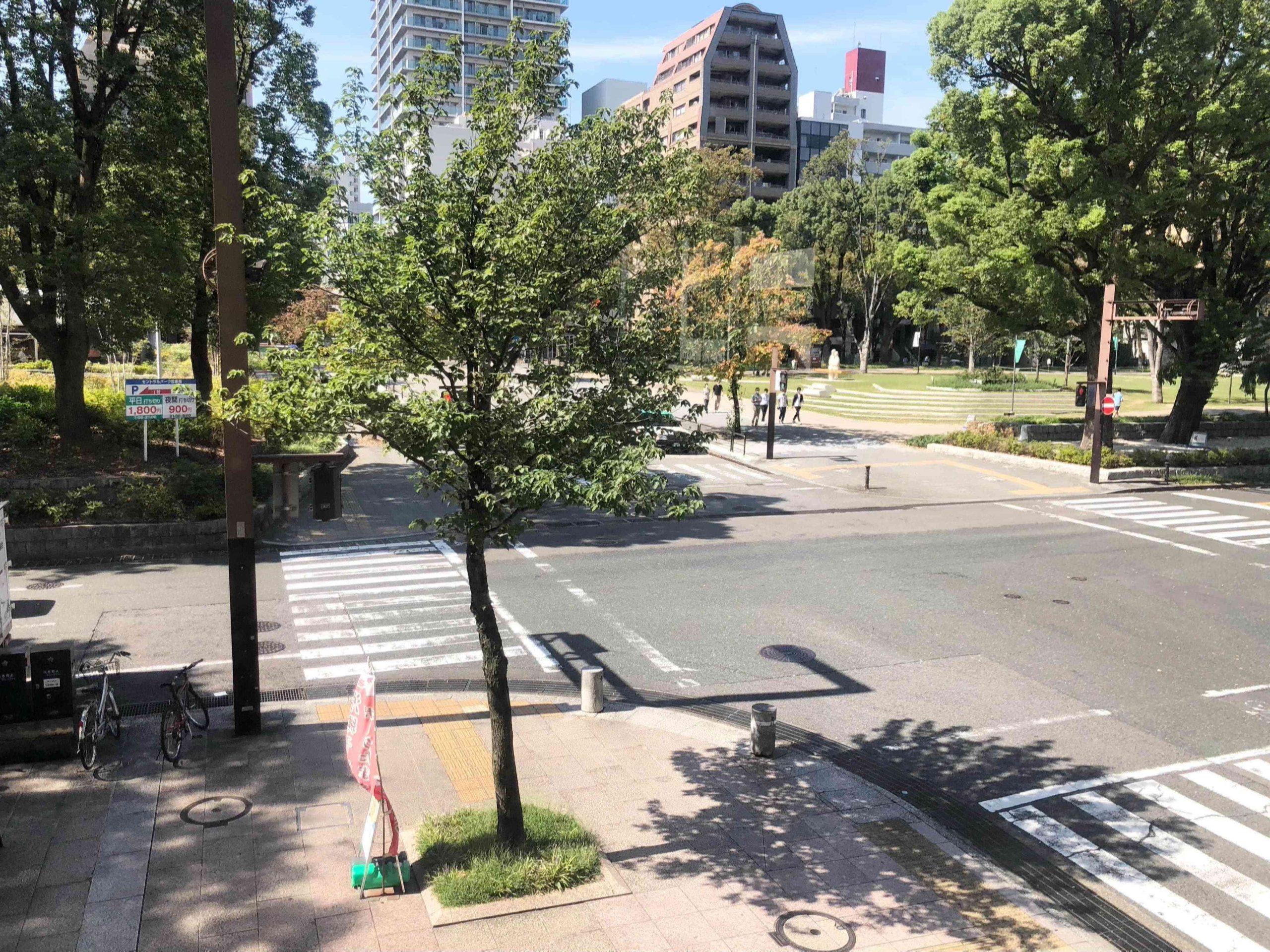 「Ichi-Hachi」のカウンター席から見える久屋大通公園