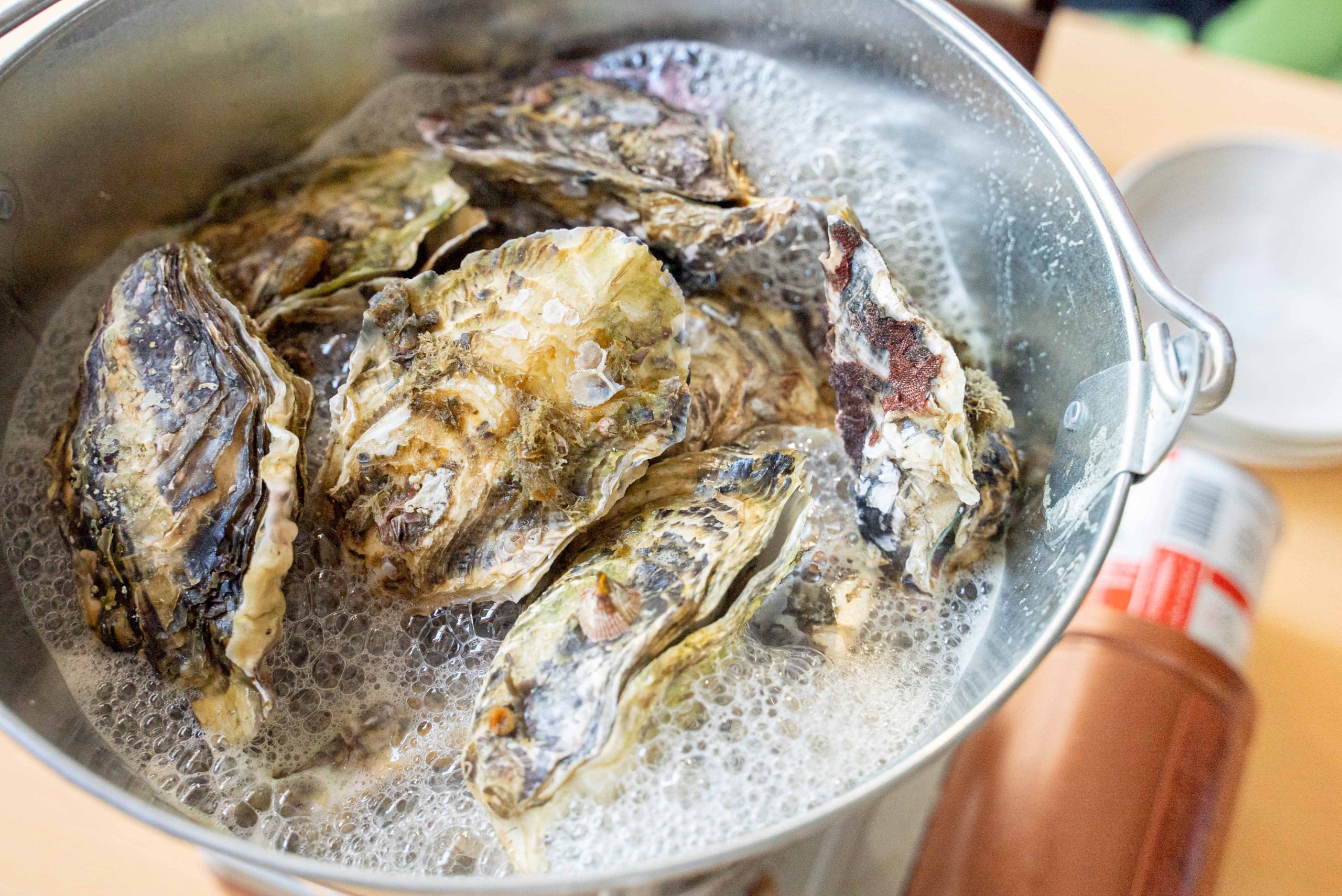 千種｜蒸したての牡蠣がバケツで登場！海鮮居酒屋でいただく牡蠣の食べ放題コース