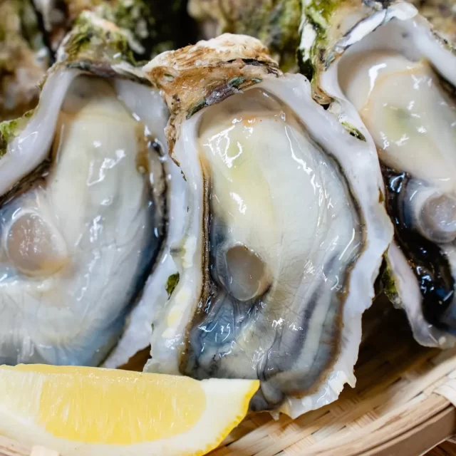 栄駅徒歩30秒！貸切BBQで「殻付き焼き牡蠣」が無料に？大人数イベントに最適な「ウッドデザインパーク栄店」の魅力