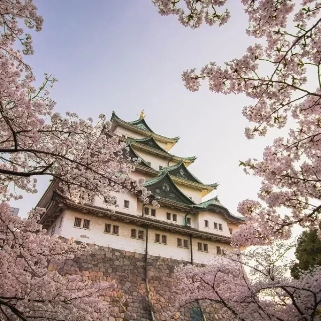 日本初上陸！名古屋駅前に韓国発ライフスタイルホテル「ソノムーン名古屋」が誕生