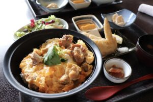 金山｜個室でいただく名古屋コーチンの味わいに感動！名物親子丼が楽しめる鶏料理店