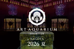 中日ビルに「アートアクアリウム展 名古屋2026」が再来