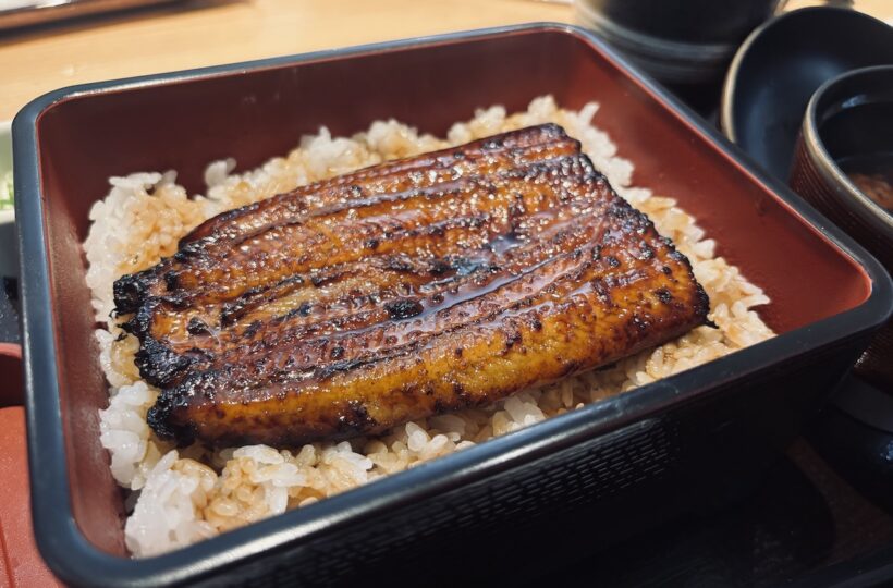 砂田橋｜お櫃を開けるとぎっしり詰まったうなぎと幸せ！ニホンウナギをお手頃価格で味わえるうなぎ料理専門店