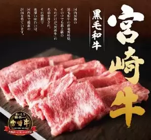 厳選素材 黒毛和牛宮崎牛