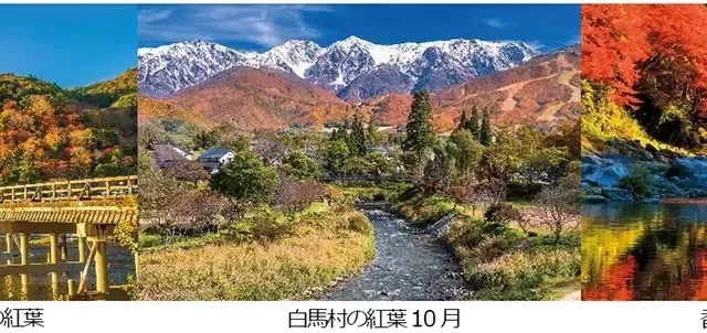 名古屋から秋旅へ！阪急交通社「JRで行く鉄道の旅〈秋〉」ウェブ限定タイムセールでお得な感動体験