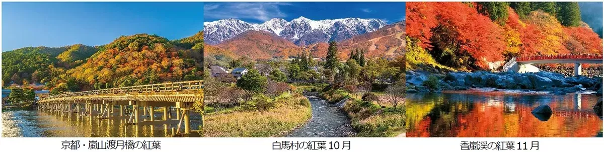 名古屋から秋旅へ！阪急交通社「JRで行く鉄道の旅〈秋〉」ウェブ限定タイムセールでお得な感動体験